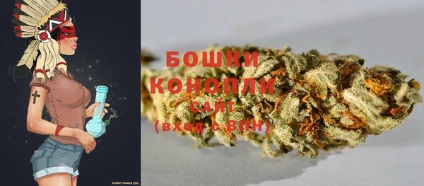 экстази Гусев