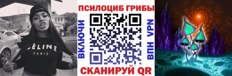 Псилоцибиновые грибы Psilocybine cubensis  где купить   блэк спрут сайт  Новый Уренгой 