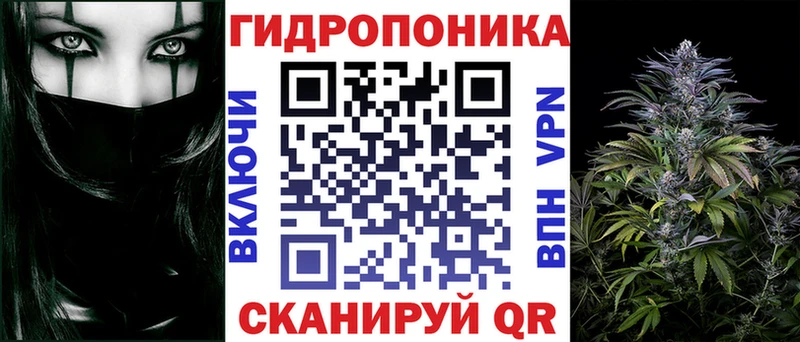 дарнет шоп  Новый Уренгой  Каннабис гибрид 
